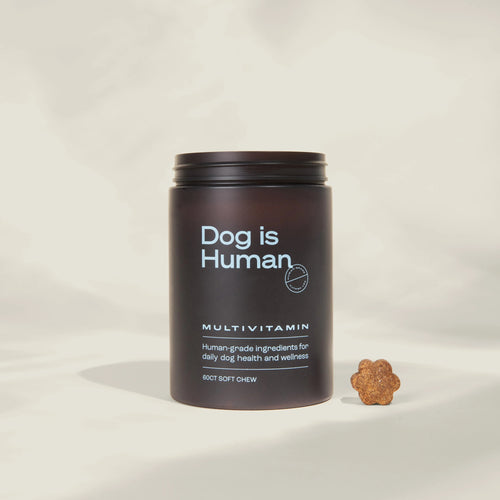 DM-01™ Daily Multivitamin